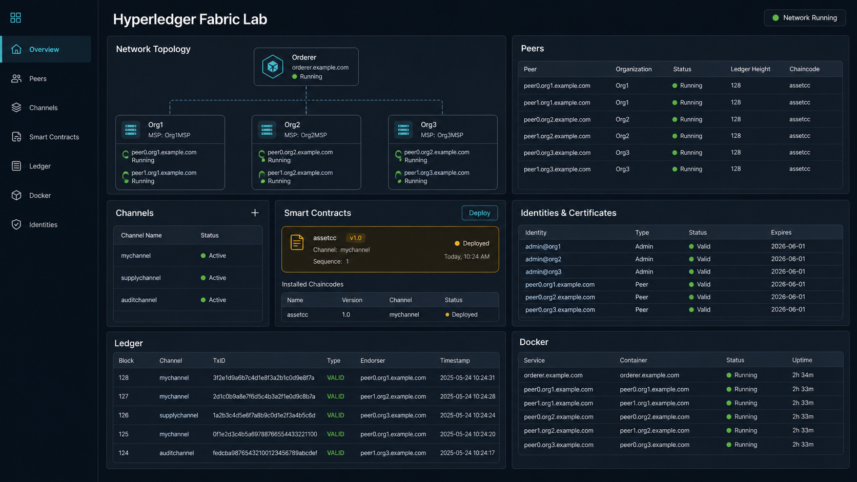 Vista conceptual de Hyperledger Fabric Lab